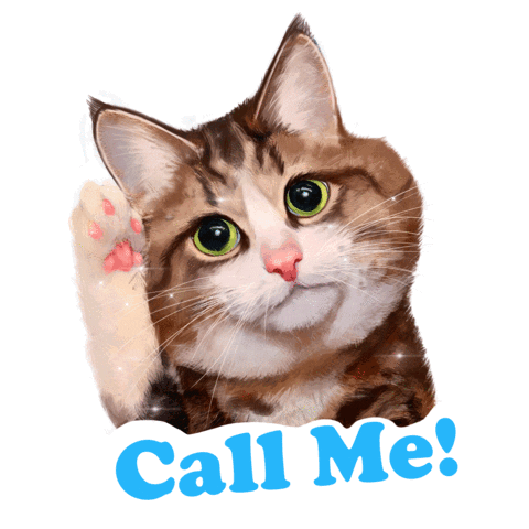 Cat Sticker