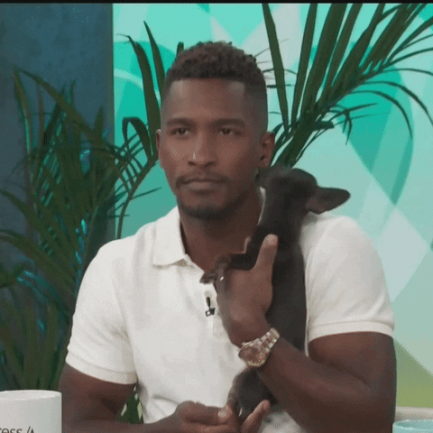 Access Hollywood Dog GIF by Access