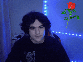 Kadoex GIF