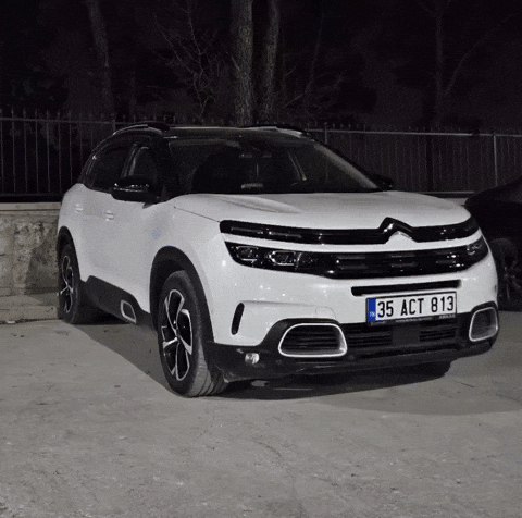 Citroen C5 GIF