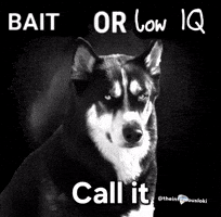 Bait Rage GIF by Loki