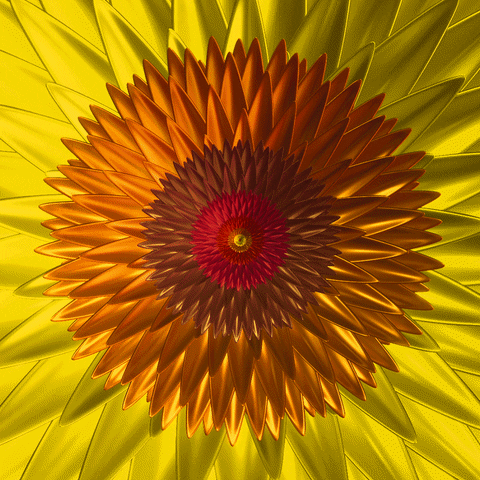 Flower Infinity GIF by Feliks Tomasz Konczakowski