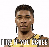 Towson GIF