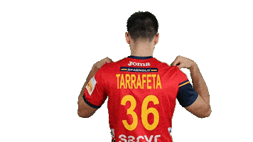 Real Federación Española de Balonmano Sticker