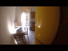 lucaallegrone  GIF