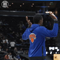 Theo Pinson No GIF by New York Knicks