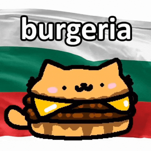 Cat Bulgaria GIF