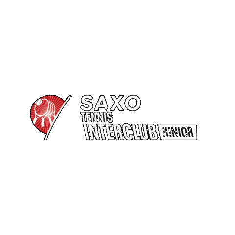 Tennis Interclub Sticker by Tennisenpadelvlaanderen