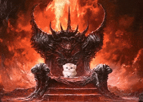 Fire Kitten GIF
