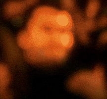 Jonah Hill GIF