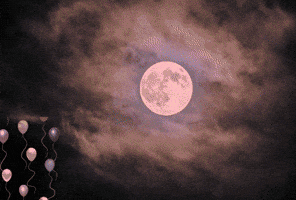 Moon Disco GIF