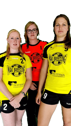 HV Geel-Zwart Sticker