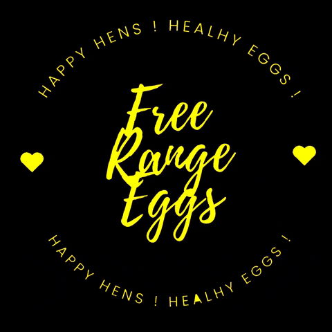 Free Range Eggs GIF