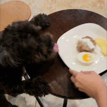 Casper GIF