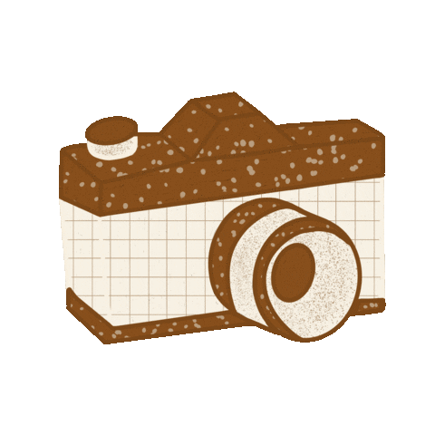 Camera Foto Sticker