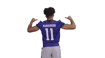 Frankfurt Galaxy Sticker