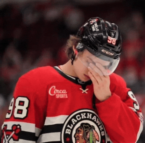 Chicago Blackhawks Bro GIF