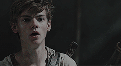 maze runner