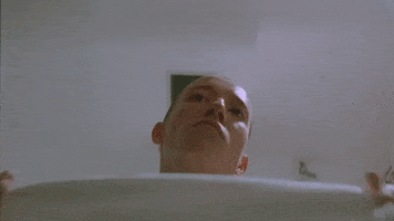 200.gif?cid=fc005b089703709822320d5d2fb87b3b020f3ebf42fb5cd8&rid=200.gif&ct=g