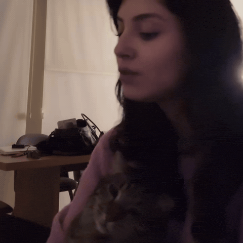 Rojbinerden GIF