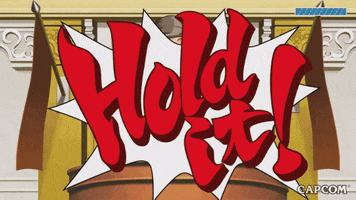 Hold It Video Game GIF by CAPCOM
