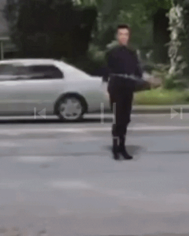 giphy.gif?cid=5e21488604cc99387044fe8658cb47303953081714c09e2c&rid=giphy.gif&ct=g