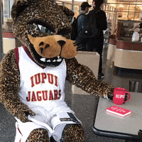 Studying College Life GIF by IUPUI