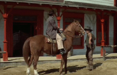 Blazing Saddles Horse GIF - Find & Share on GIPHY