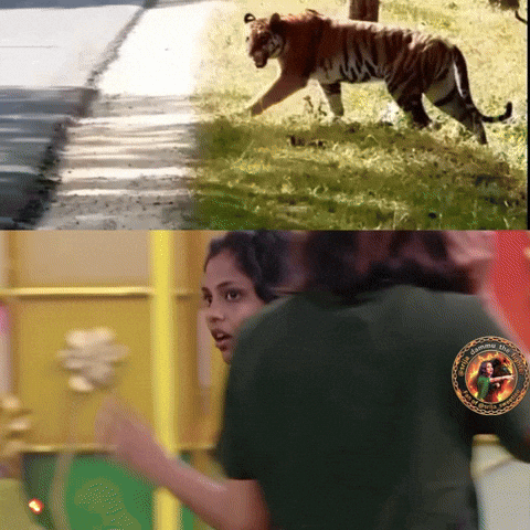Srija GIF