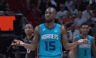 Basketball GIF by Charlotte Hornets