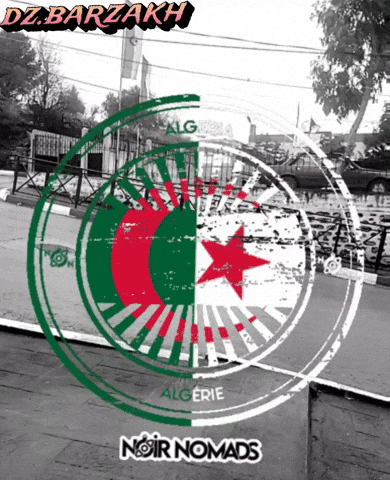 Algeria Dz GIF