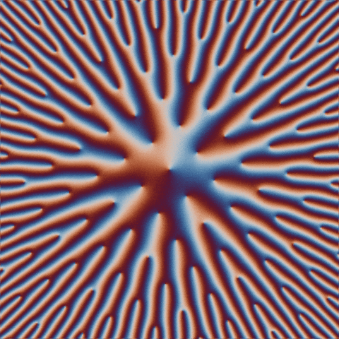 Math Art GIF by Clayton Shonkwiler