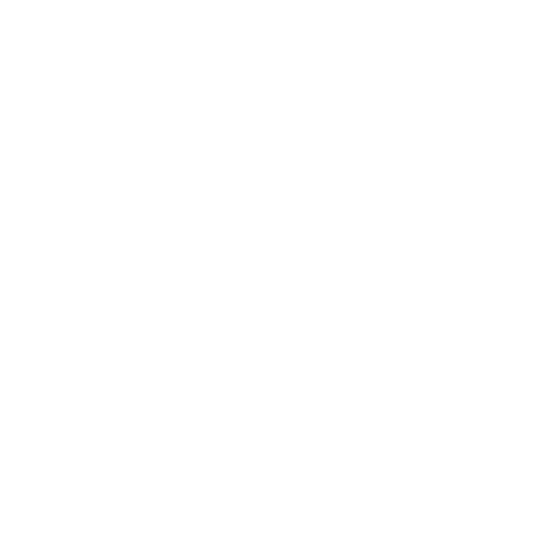 Can-Am 3-Wheel Sticker