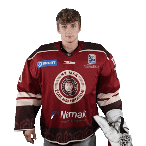 HK MŠK Žiar nad Hronom Sticker