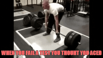 west  GIF