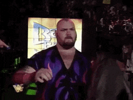 Wrestlemania Xi Wrestling GIF by WWE