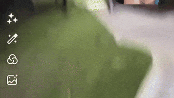 Lime GIF