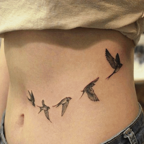 Bird Sketch GIF