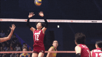 Get Ready Japan GIF by Volleyball World