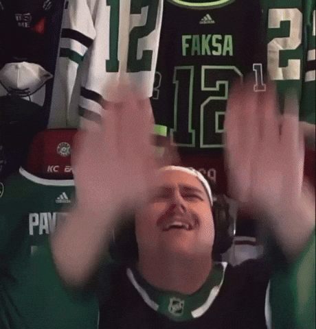 Dallas Stars Hockey GIF