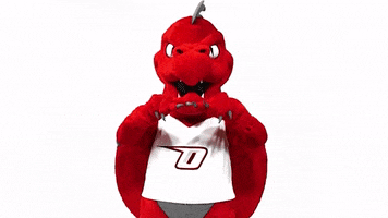 Red Dragons Love GIF by SUNY Oneonta