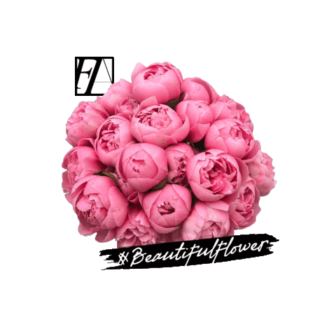 Sticker by Daruma Adv