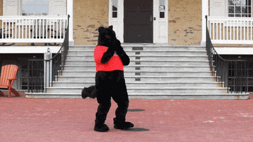 Mascot Love GIF by Haverford College