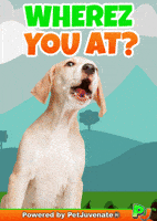 Henlo Hooman Fren GIF by PetJuvenate - PJ