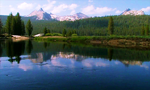 Wolf Lake GIFs - Get the best GIF on GIPHY