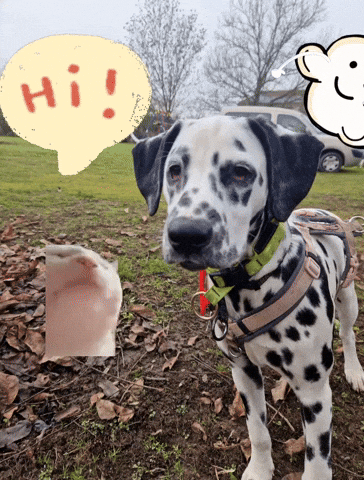 Dalmatian GIF