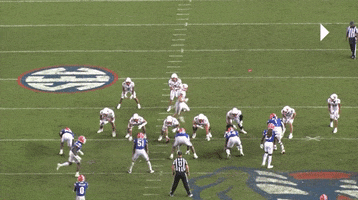 Cfcbears GIF
