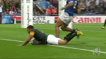 Happy South Africa Rugby GIF by Rugby World Cup