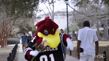 Excited Valentine GIF by University of South Carolina