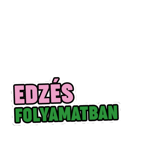 Szentkiralyi Asvanyviz Sticker